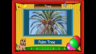 Lets Learn about Trees Preschool Video