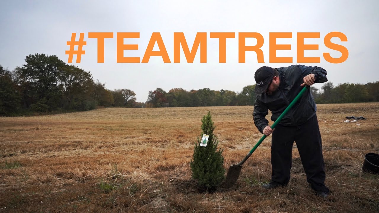Plant Twenty Million Trees Teamtrees Youtube
