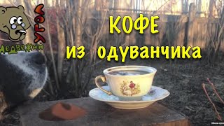 ☕️ Кофе из одуванчика 🌼