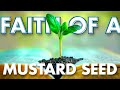 The Mustard Seed That Overcame The World | SoConn Sermon