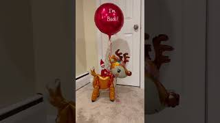 Elf on the Shelf Arrival ideas!