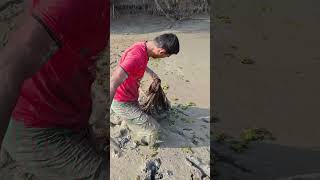 ঝাকি জলে প্রচুর মাছ পেলাম / fishing