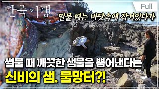 [Full] 한국기행 - 또 걸어보길 4부 보물 찾아왔습니다