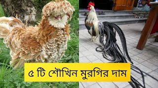 ৫ টি শৌখিন মুরগির দাম || fancy chicken in india ||fancy chicken price in india