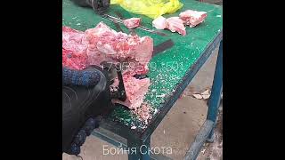 Пила шаговая для полутуш и костей. ефа пила туш мяса