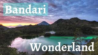 BANDARI / Wonderland / The Wind Of Change