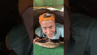 I went INSIDE a 170 Year Old Tortious Shell