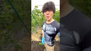 キレ方が松岡修造な奴wwwww#shorts  #おもしろ動画#農家#きゅうり#夏#畑#仕事#手伝い#珍しい#松岡修造#暑い#モノマネ#ネタ