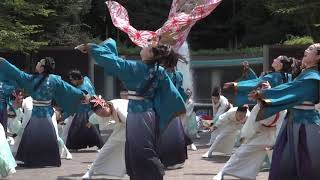 勢や「日光燦美」 / 2023-09-03 / TOCHIGIよさこい / メイン会場一回目