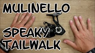 MULINELLO SPEAKY TAILWALK