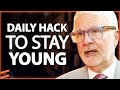 The DAILY HACKS To End Inflammation & Increase Your LIFESPAN | Dr. Steven Gundry