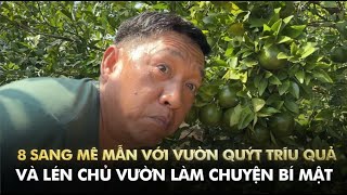 8 Sang mê mẩn với vườn quýt trĩu quả và lén chủ vườn làm chuyện bí mật