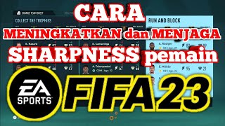 Penjelasan SHARPNESS dan TRAINING di career mode FIFA 23. Tutorial FIFA 23.