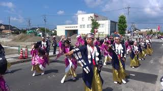 2018斐川だんだんよさこい祭り　「TACYON(タキオン）」