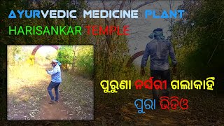 Harishankar ayurvedic medicine nursery (ହରିଶଙ୍କର ଆୟୁର୍ବେଦିକ ଗଛ) GhandhaMardan parvat