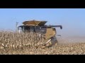 Claas Lexion 760TT Harvesting 18 Rows of Corn