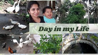 Day in my life | Terrace Garden tour | Attapadi vlogs | DIML | Attappadi diaries