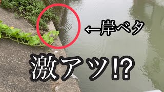 柳川クリーク攻略法！？　激アツ！？【バス釣り】