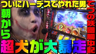 アナザーゴッドハーデスで超犬が大暴走して逆回転しまくる動画｜1GAMEてつの妖回胴中記# 116【パチスロ・スロット】