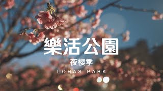 Taiwan Travel: LOHAS Park | Taipei