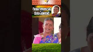 పల్లెటూరి అవ్వలకు  స్వరాభిషేకం | My Village Singing Show by Our Grand Mothers | #Shorts | Vihari Tv