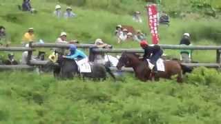 ２０１４年高ボッチ高原草競馬大会