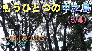 【今川公園】もうひとつの中之島（3/4）『公園に行ってみた』№091