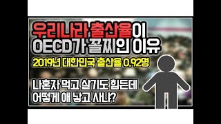 (※공감주의) 우리나라 출산율이 OECD가 꼴찌인 이유