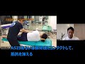 下部体幹の安定性と運動制御システム／江口泰弘先生