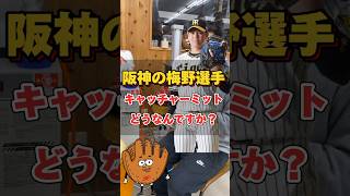 【新しいバックスタイル】阪神タイガースの梅野選手が使用するキャッチャーミットってどうなん？【プロエッジ】 #野球 #湯もみ型付け #梅野隆太郎