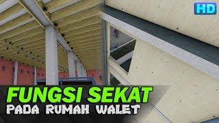 Playtube Pk Ultimate Video Sharing Website