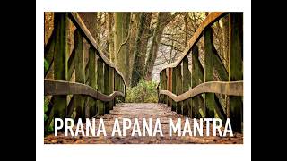 Prana Apana Sushumna Hari Mantra - A joyful cleansing mantra to start afresh any time you choose