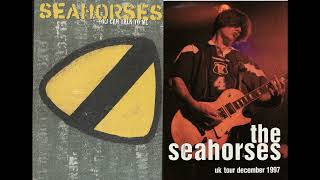 The Seahorses - 3 Wide