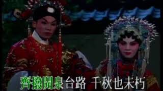 【並帝花】妙丽,同耀君