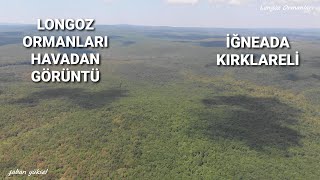 LONGOZ ORMANLARI İĞNEADA/KIRKLARELİ DRONE GÖRÜNTÜLERİ #iğneada #kırklareli #longozormanları