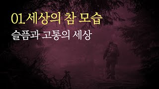 01.세상의 참 모습_슬픔과 고통의 세상 / 김형국 목사 / 하나님나라의 도전