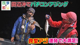 田辺沖でバチコンアジング　良型アジ連発で大満足！（四季の釣り/2022年4月8日放送）