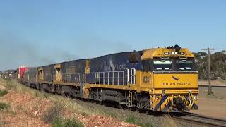 NR28 NR85 and NR36 on 3MP5 freight West Kalgoorlie