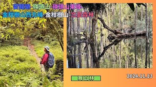 留龍頭-嶺頭山-嶺頭山東峰-金柑樹山西北峰-金柑樹山-忘憂森林 2024.11.13