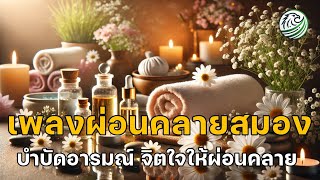 Relaxing music เพลงผ่อนคลายสมอง บำบัดอารมณ์ บำบัดจิตใจให้ผ่อนคลาย เพลงสมาธิ คลายกังวล