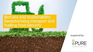 Biofuels and sustainability: decarbonising transport and fuelling food security