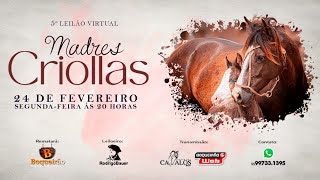 5º Leilão Virtual MADRES CRIOLLAS