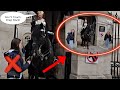 Thank You Guard!🙏He tells tourist to Step Back and Don't Touch The Horse!