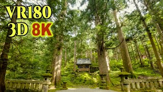 [ 8K 3D VR180 ] 樹齢約500年の杉に囲まれた立山信仰の「雄山神社 芦峅中宮」Ashikura Oyama Shrine surrounded by cedar trees