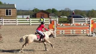 Robyn Moran and western Oreo 1st place 138 A RDS qualifier mullingar 2016!round 3/3