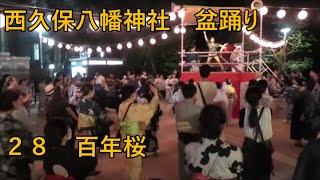 百年桜　2023年西久保八幡神社例大祭盆踊り２８　東京都港区