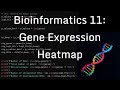 Intro to Bioinformatics 11: Gene Expression Heatmap Plot