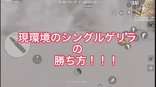 現環境のシングルゲリラの勝ち方【荒野行動】【終盤動画】