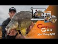 Golden Perch in Dams [HD Trailer] | Complete Guide Series