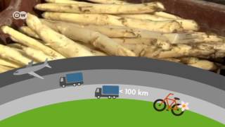 How harmful to the climate is transporting food by air? | Global 3000